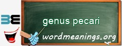WordMeaning blackboard for genus pecari